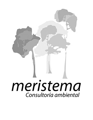 logo-meristema